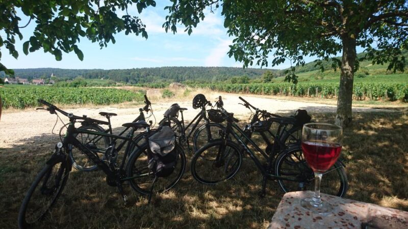Dijon: Half-Day Guided Gourmet Bike Tour - Wine Tasting Experience