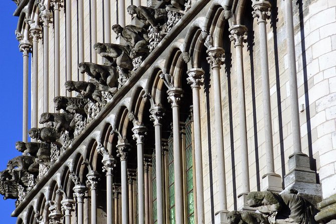 Dijon - Historic Guided Walking Tour - Accessibility and Transportation