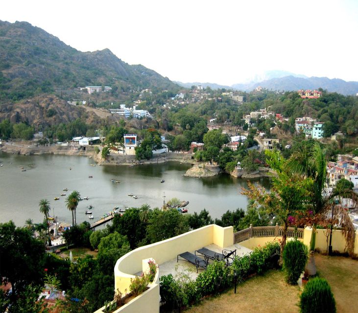 Dilwara Temples & Mount Abu: Private Day Trip With Transfer - Overview of the Day Trip