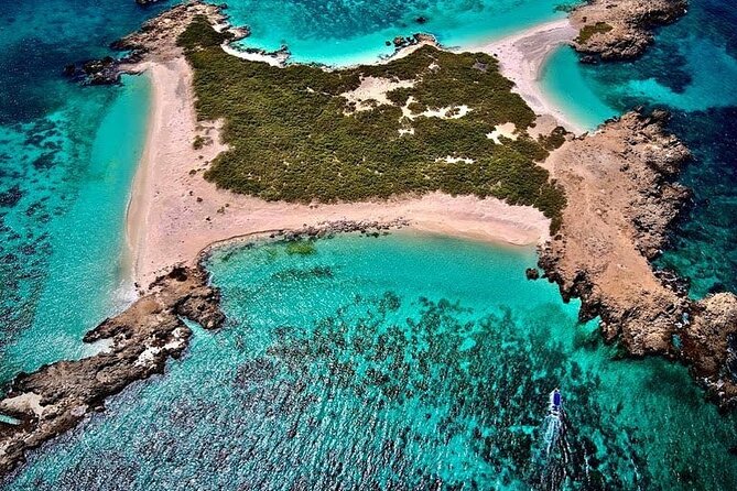 Dimaniyat Island Tour - Booking and Confirmation Information