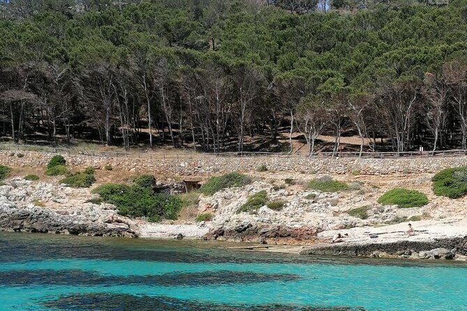 Dinghy excursion to the Egadi Islands with tasting on board - The Sum Up