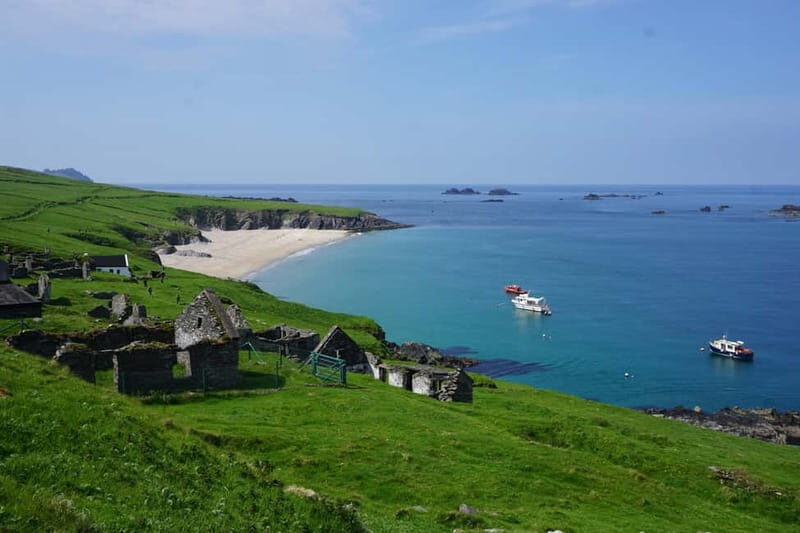 Dingle: Blasket Island Eco Tour with Wildlife Watching - Key Points