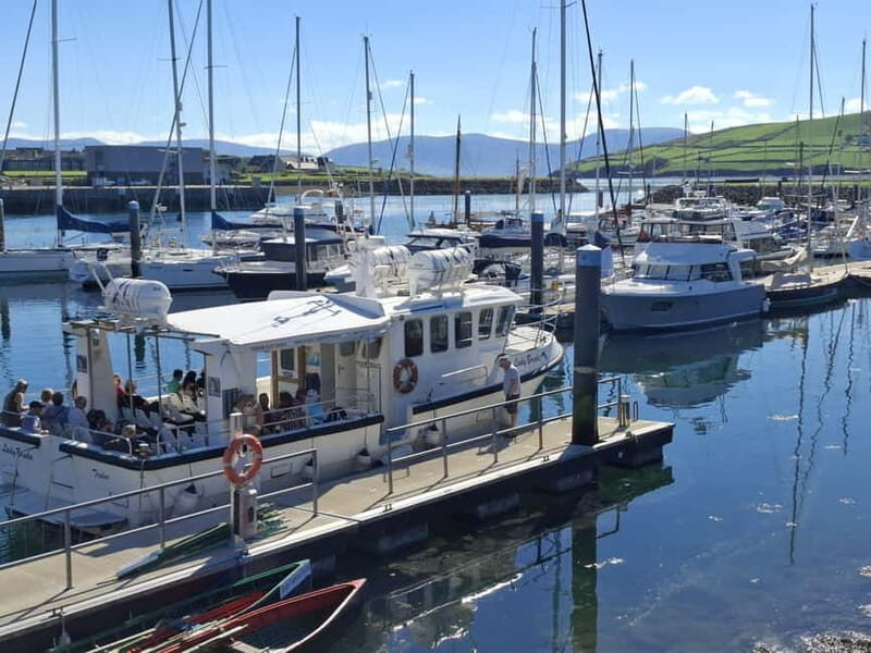 Dingle: Blasket Island Eco Tour with Wildlife Watching - Final Thoughts: Is It Worth It?