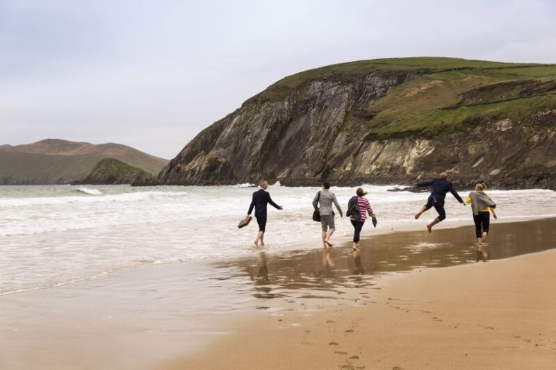 Dingle Day Tour From Limerick - Inclusions and Exclusions