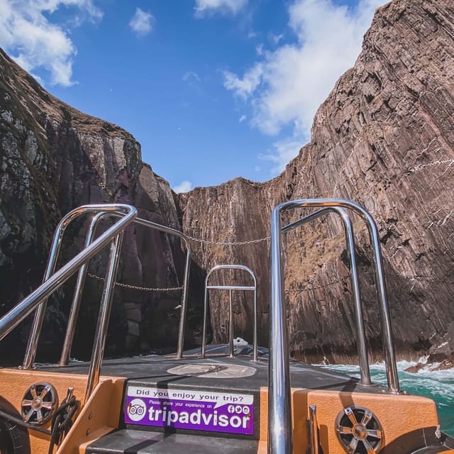 Dingle: Sea Safari by RIB Boat - Exploring the Experience: What to Expect