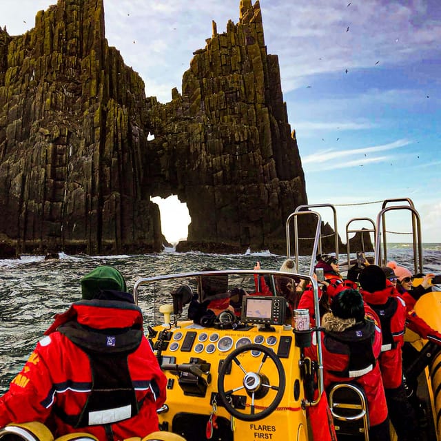 Dingle: Sea Safari by RIB Boat - Authentic Encounters and Real Reviews