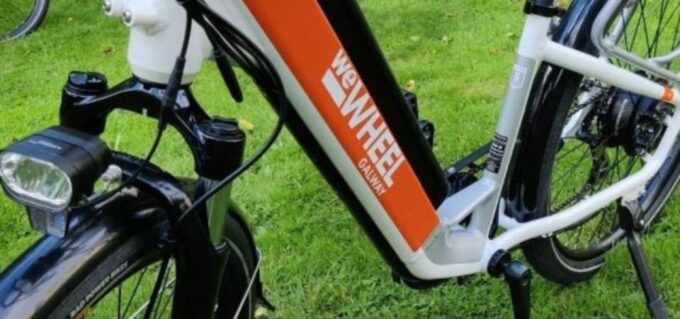 Dingle: Self-Guided Ebike Tour - Wildlife Spotting Tips