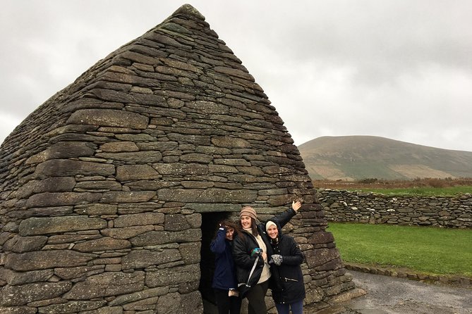 Dingle Town & Peninsula Private Chauffeur Driven Day Tour From Killarney Luxury - Tour Pricing and Inclusions