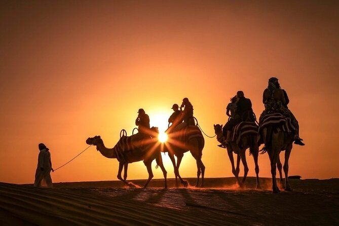 Dinner In Dubai Desert - Included Activities