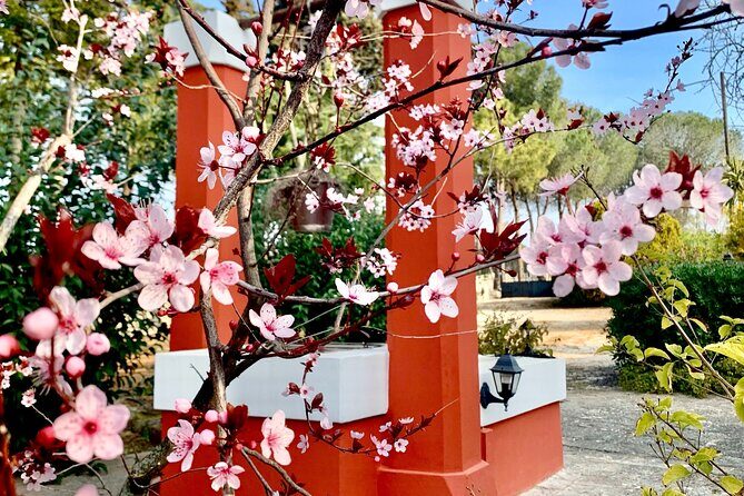 Dinner in Monopoli with the authentic Flavours of Puglia - FAQ