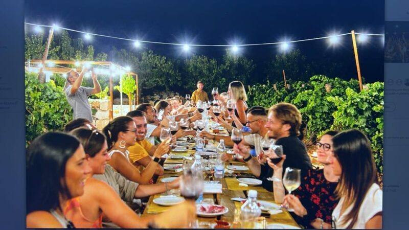 Dinner in the vineyard and wine tasting under the stars - The Dinner Experience: A Step-by-Step Breakdown