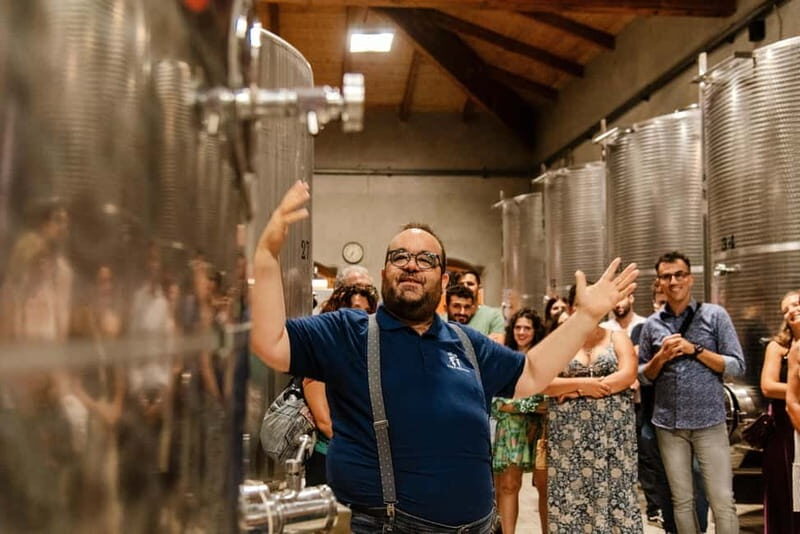 Dinner in the vineyard in Alba with wine tasting aperitif and winery tour - Key Points
