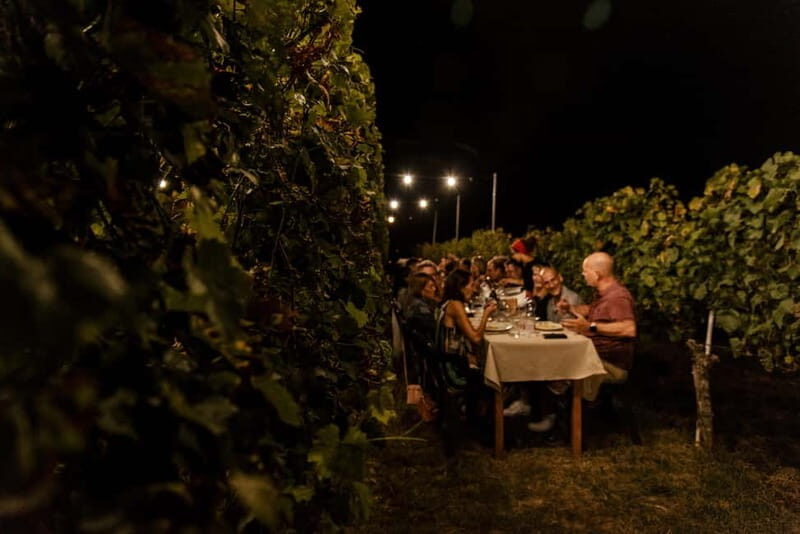 Dinner in the vineyard in Alba with wine tasting aperitif and winery tour - The Sum Up