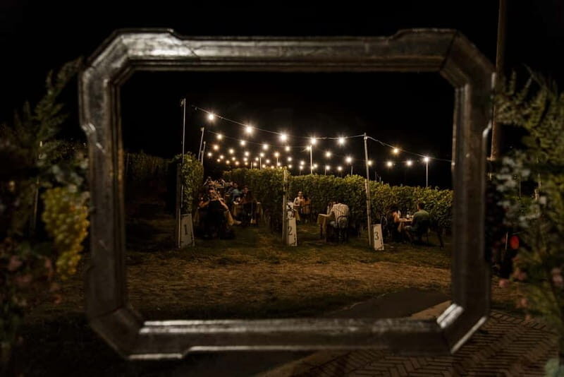Dinner in the vineyard in Alba with wine tasting aperitif and winery tour - FAQ
