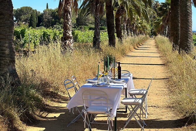 Dinner in the Vineyard Saint Tropez - Key Points