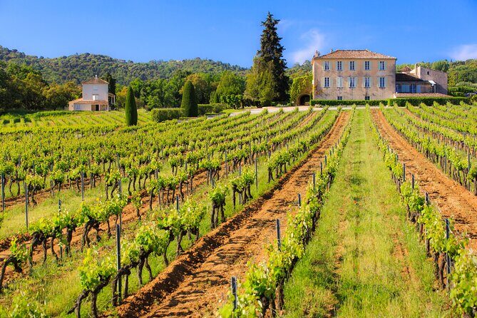 Dinner in the Vineyard Saint Tropez - Final Thoughts