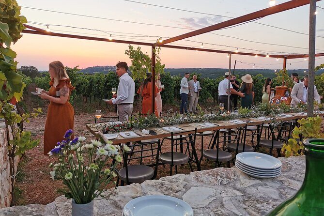 Dinner in the vineyard with wine tasting and walk - The Vineyard Walk: Connecting Land and Tradition
