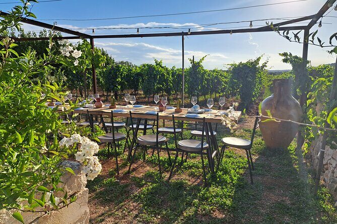 Dinner in the vineyard with wine tasting and walk - Sunset and Atmosphere: A True Experience