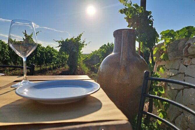 Dinner in the vineyard with wine tasting and walk - Considerations for Travelers