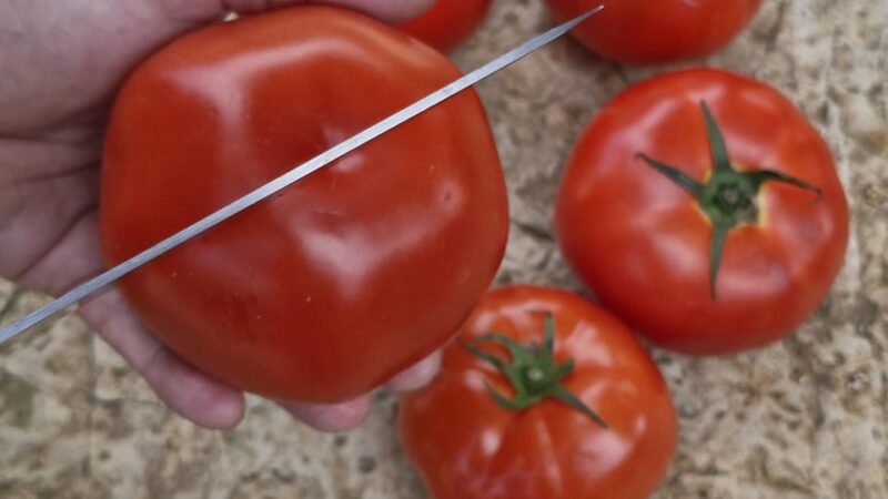 Dinner or Cooking Class in a UNESCO-Protected Family Field - Reservation Details