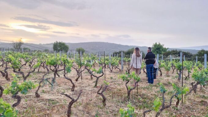 Dinner or Cooking Class in a UNESCO-Protected Family Field - What to Bring