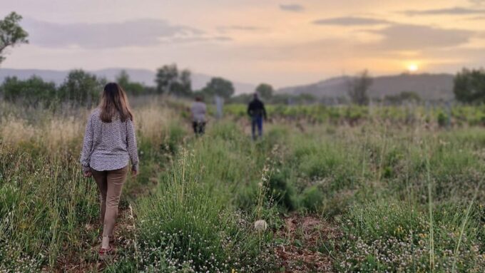 Dinner or Cooking Class in a UNESCO-Protected Family Field - Guest Reviews