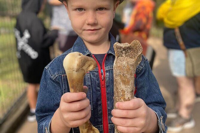 DINOSAUR and FOSSIL ZOO TOUR Rockhampton - Key Points