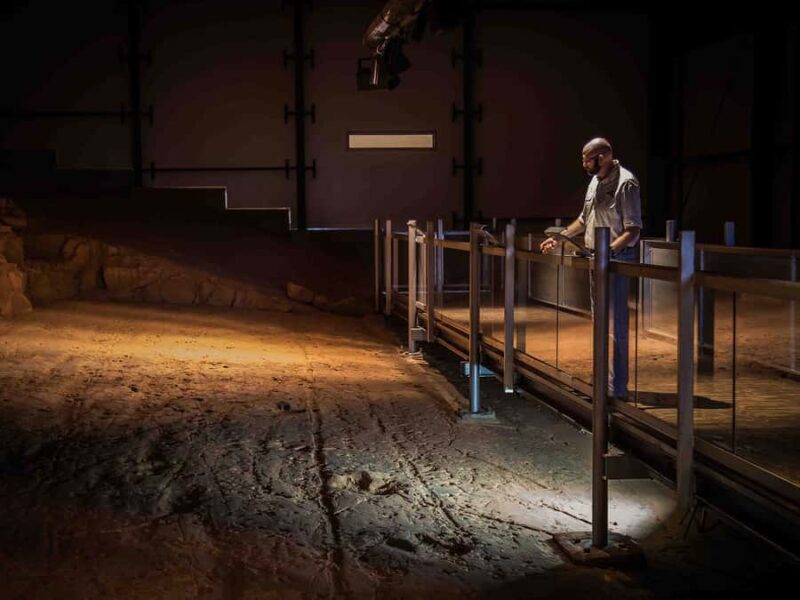 Dinosaur Stampede and Carisbrooke Station Full Day Tour - Key Points