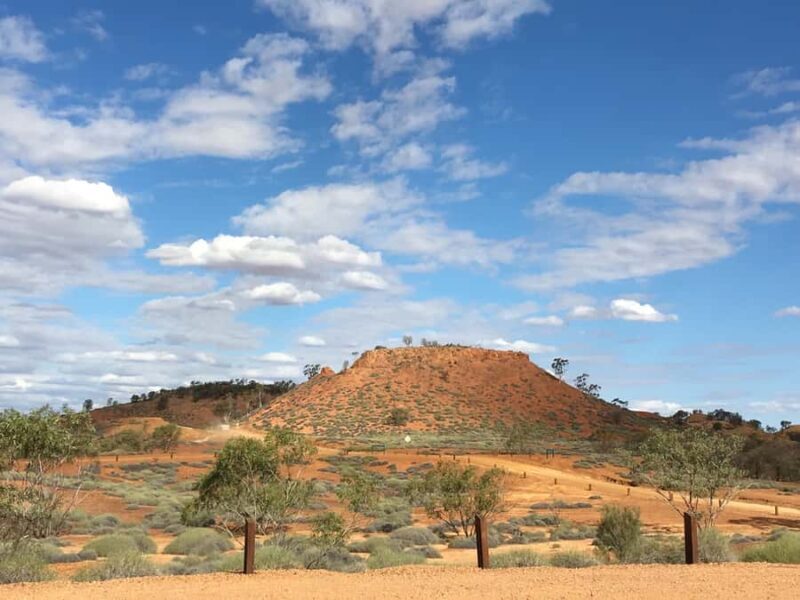 Dinosaur Stampede and Carisbrooke Station Full Day Tour - The Experience: A Closer Look