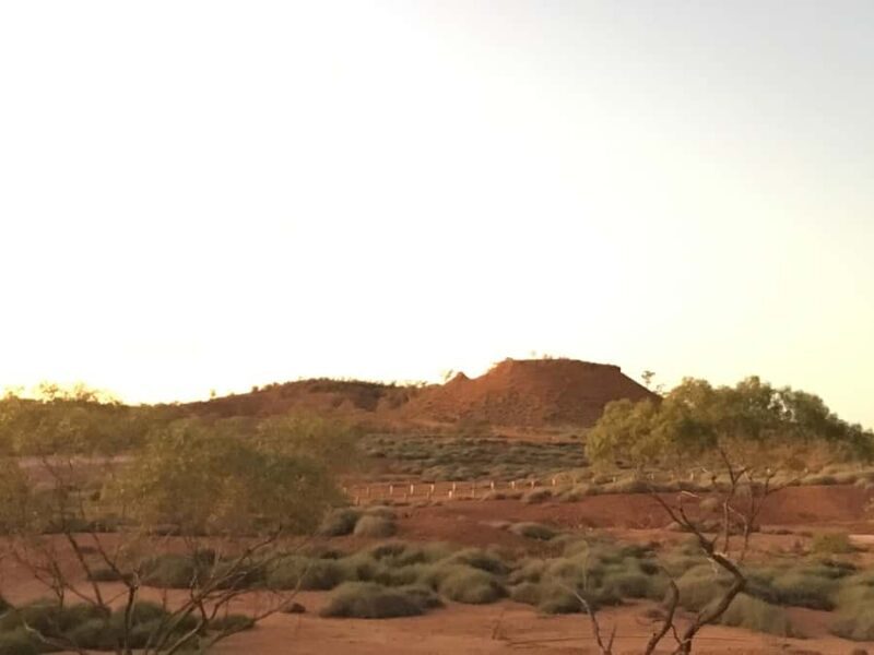 Dinosaur Stampede Half Day Tour - Dino Dash - Introduction: A Dinosaur Adventure Worth Considering