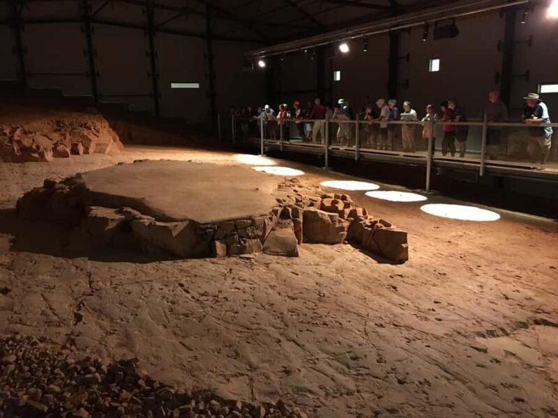 Dinosaur Stampede Half Day Tour - Dino Dash - Key Points