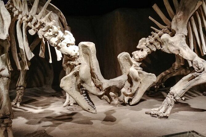 Dinosaurs, Canyons & Ghost Towns: Ultimate Drumheller Day Tour - An In-Depth Look at the Drumheller Day Tour