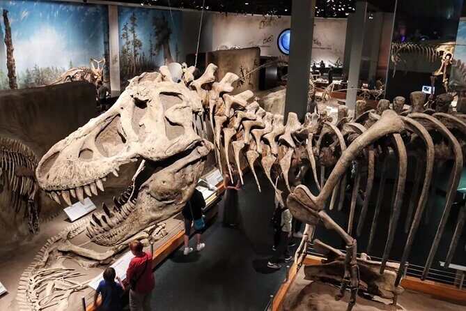 Dinosaurs, Canyons & Ghost Towns: Ultimate Drumheller Day Tour - Authentic Feedback and Lessons from Past Travelers