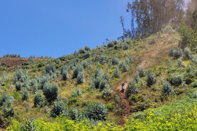 Dirt-Bike Tour in Madeira - Meeting Point & Practical Details