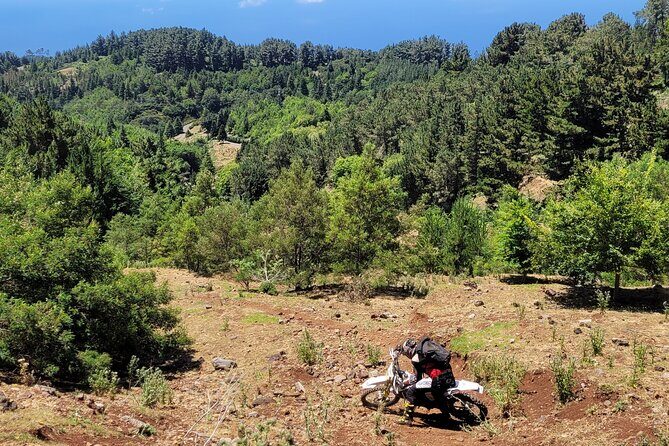 Dirt-Bike Tour in Madeira - Is This Tour Worth the Price?