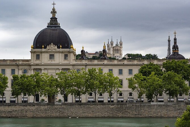 Discorver Lyon in a Private Tour With Your Driver - Benefits of a Private Tour