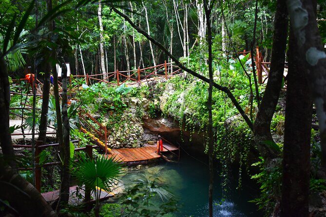 Discover 3 amazing cenotes. Includes transport & snack - Key Points