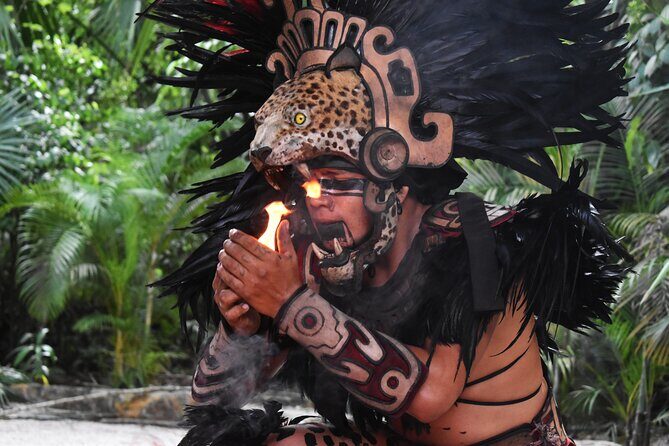 Discover 3 amazing cenotes. Includes transport & snack - The Sum Up