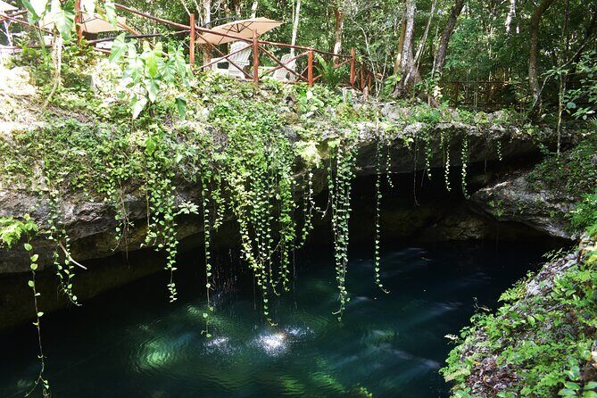 Discover 3 amazing cenotes. Includes transport & snack - FAQs