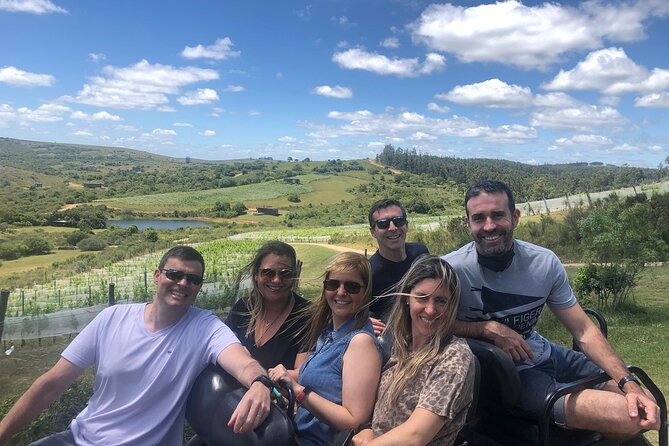 Discover a Hidden Vineyard off the Beaten Track! - Value-for-Money