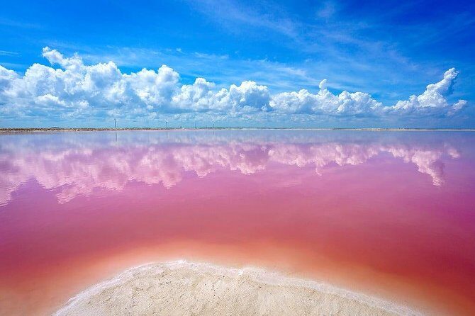 Discover a Pink Lagoon in The Coloradas with Transportation from Cancún - Final Thoughts: Who Will Enjoy This Tour?