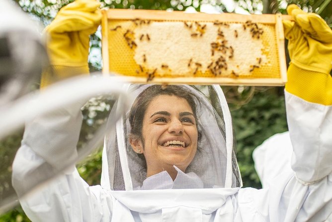 Discover Active Beehives in London - Beekeeping Workshop Details