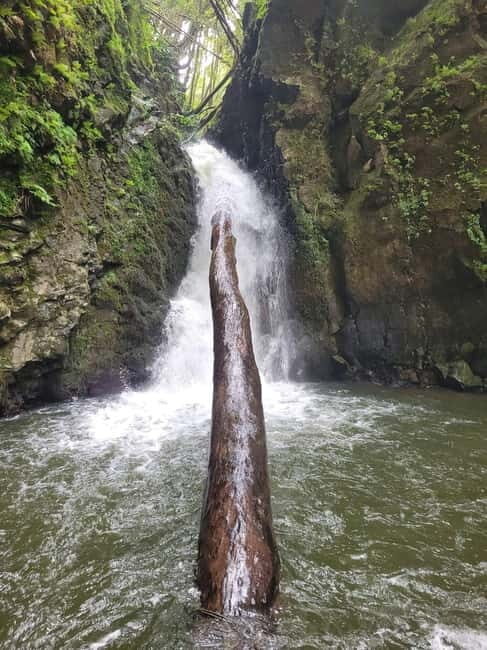 Discover and Hike São Miguel with Rúben - The Practical Side: Cost, Duration, and What to Bring