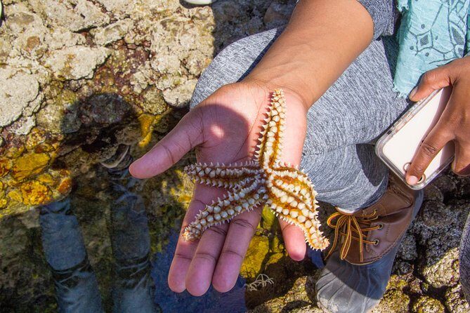 Discover Arrábida: The Secret Paradise - FAQs