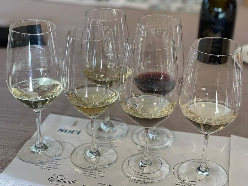 Discover Arrábida: Wine and Scenic Wonders - An In-Depth Look at the Discover Arrábida Tour
