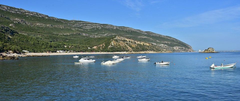 Discover Arrábida: Wine and Scenic Wonders - Tasting Unique Local Wines