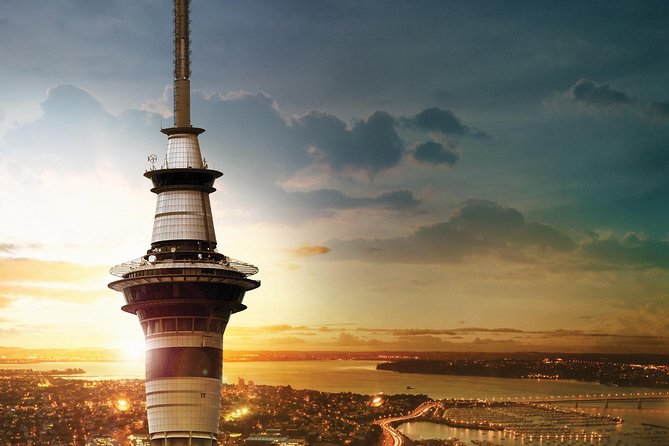 Discover Auckland City - Highlights Tour - Tips for a Memorable Tour