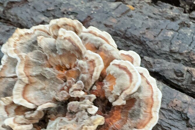 Discover Aurora Illinois Hiking Getaway - What Travelers Are Saying (Based on Reviews)