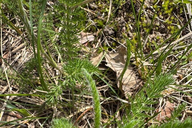 Discover Aurora Illinois Hiking Getaway - Practical Details