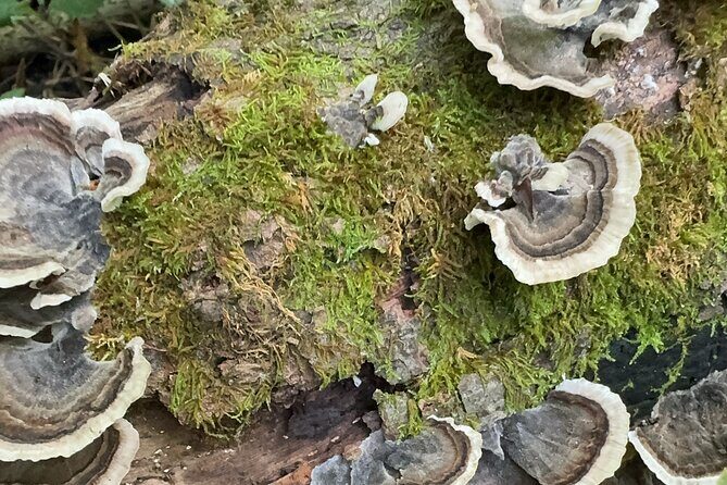 Discover Aurora Illinois Hiking Getaway - Who Will Love This Experience?